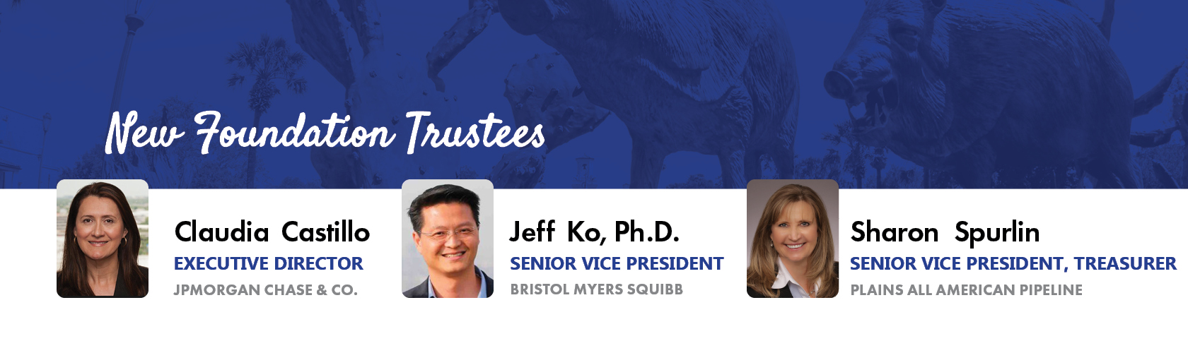 three new foundation trustees
